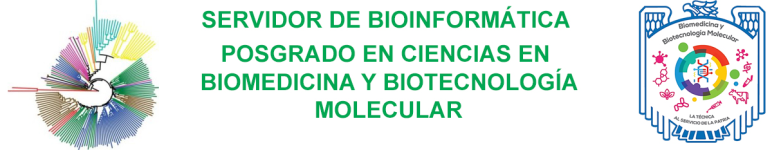 Logo de Servidor de Bioinformática, Posgrado en Biomedicina y Biotecnología Molecular (IPN)